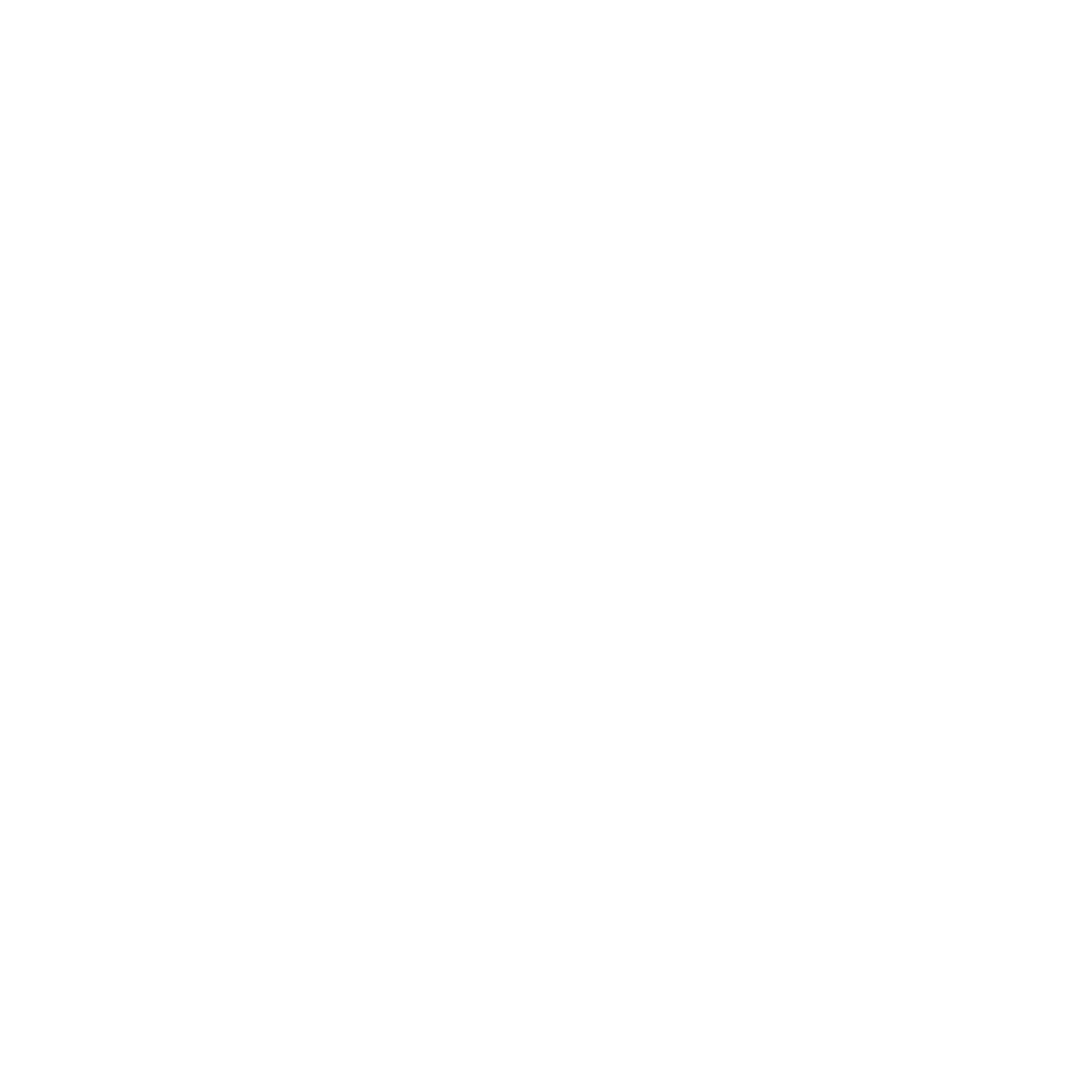 Flyswat